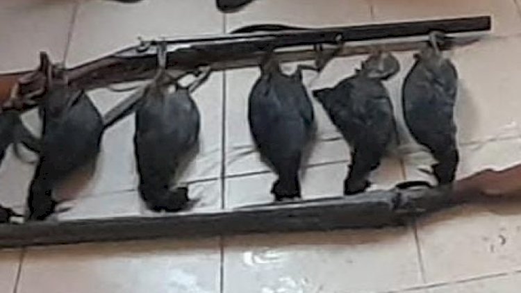    Qanunsuz ov edənlər saxlanıldı   