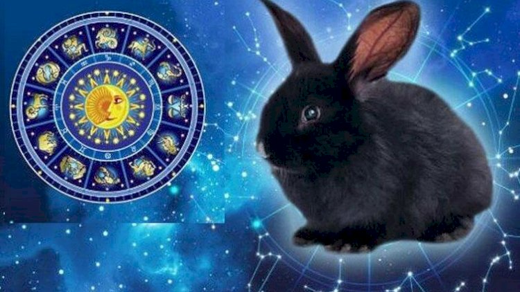    2023-cü il bizə nə vəd edir - Şərq təqviminin   PROQNOZU