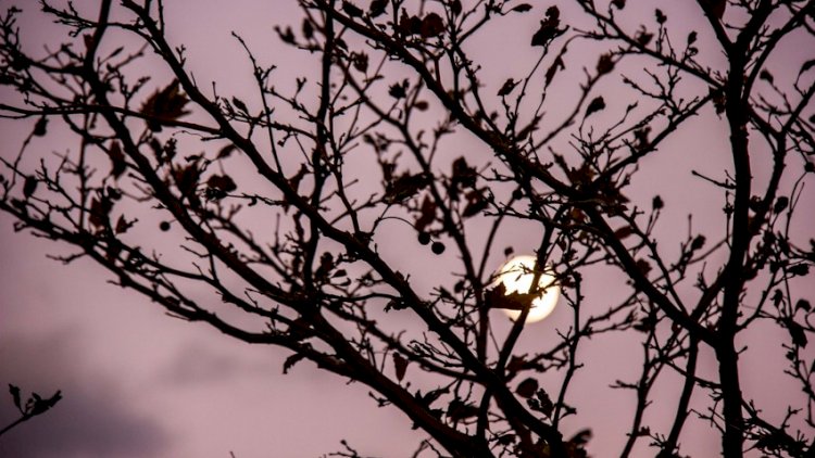    Bakıda temperatur iqlim normasından 3 dərəcə aşağı olub - FAKTİKİ HAVA   