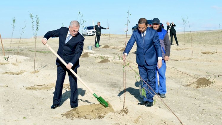    Dotasiyadan asılı Naxçıvan və mənimsənən milyonlar   