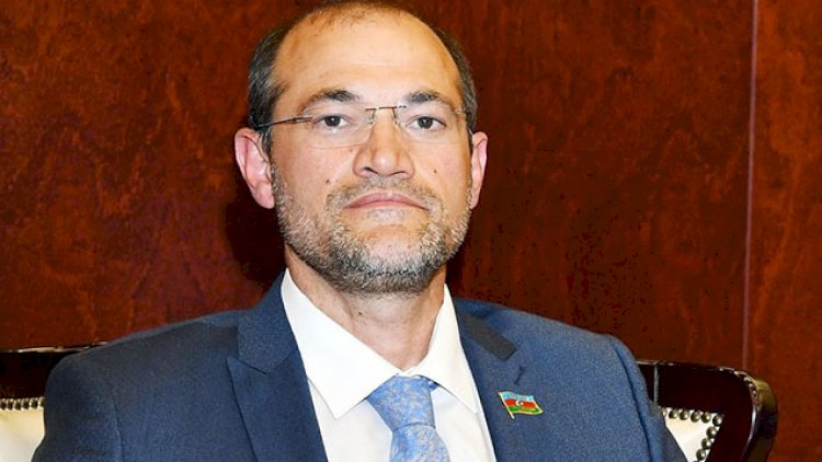    “Xaricə gedəndə qohumların xahiş etdiyi dərmanlar bir zənbil olur”   