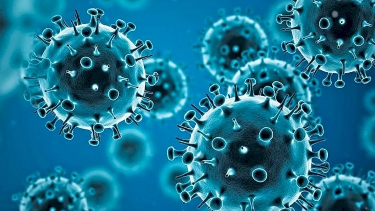    Dünyada virusa yoluxanların sayı 647 milyonu keçdi   
