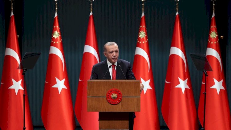    Ərdoğan Putin və Zelenski ilə danışacaq   