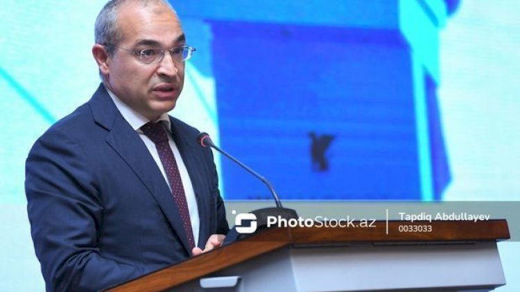    “Bu il Azərbaycanda ÜDM 4,8 faiz artıb” - Nazir   
