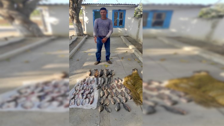    Neftçalada qanunsuz balıq ovlayan brakonyer saxlanıldı   