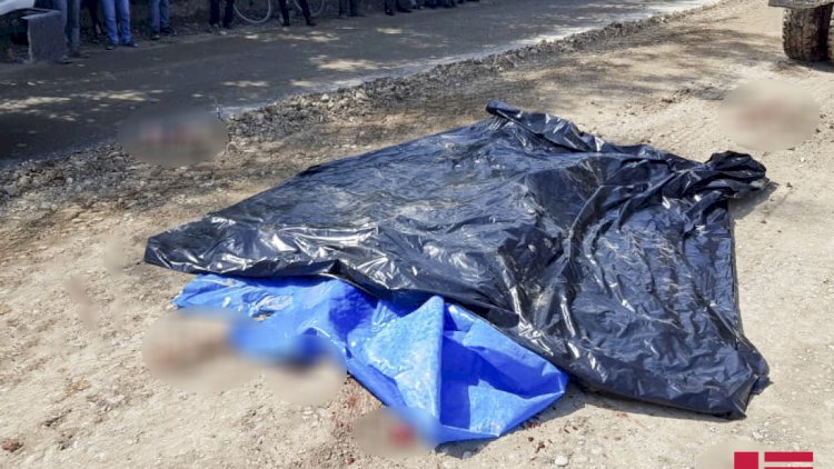    Azərbaycanda 84 yaşlı qadını itlər parçalayıb öldürdü    