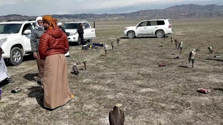    Azərbaycana ov üçün gələn ərəb turistlərin sayı azalıb   