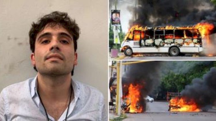    Məşhur narkobaronun oğlu tutuldu   