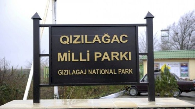    Balıqları  “tok”a verdi, özü  “tor”a düşdü   