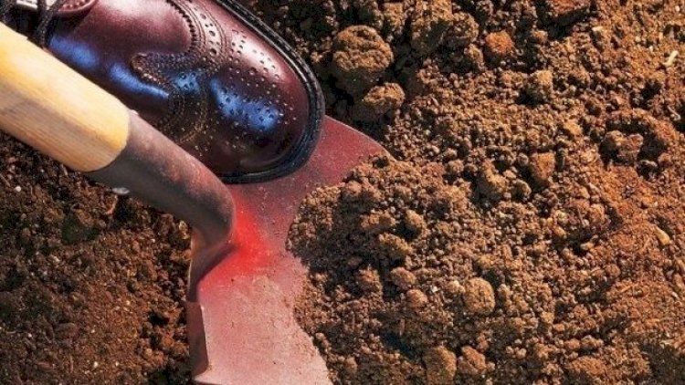    Tanınmış müğənni sevgilisini öldürüb meşədə basdırdı - Fotolar   