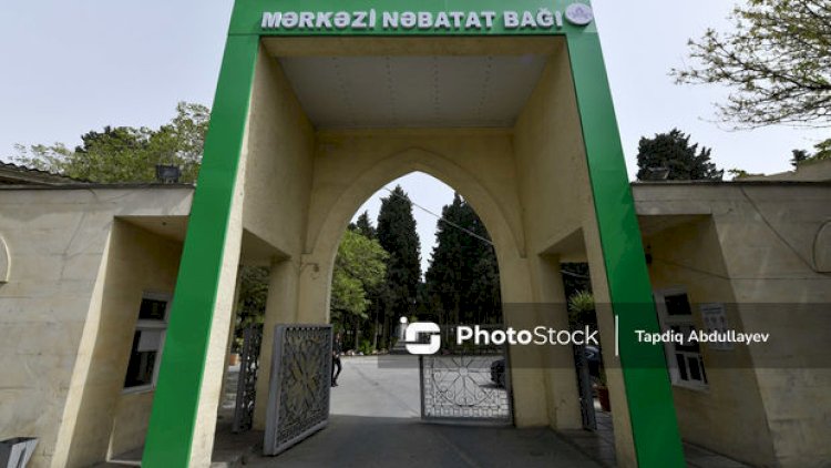    Nəbatət Bağında ağacların sayı azaldılacaq?   - RƏSMİ AÇIQLAMA
