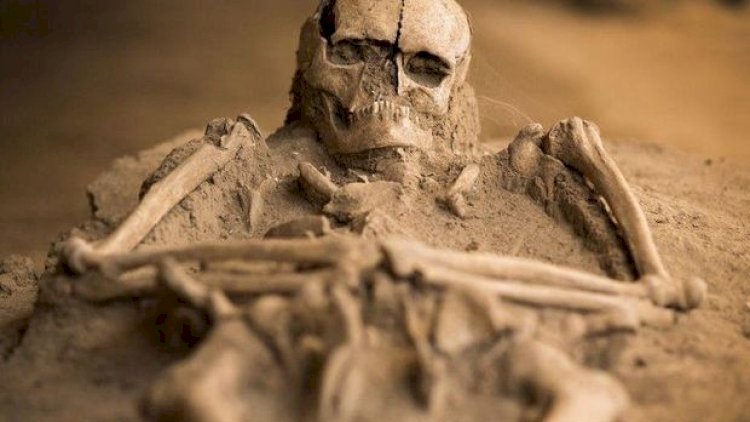    Qəbələdə kişi skeleti aşkarlandı   
