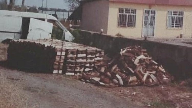    Lənkəranda qanunsuz yolla əldə olunmuş odun aşkarlandı - FOTO   