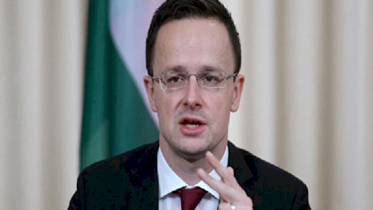    Macarıstan XİN başçısı Ukraynanı tənqid etdi   