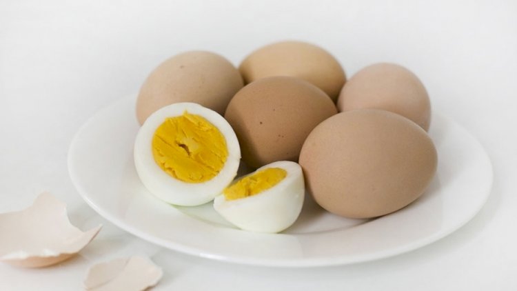    Yumurta yemək ürəyə faydalıdır   