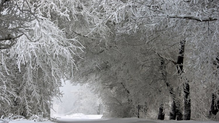    Güclü qar yağacaq, temperatur 10 dərəcə enəcək - XƏBƏRDARLIQ   