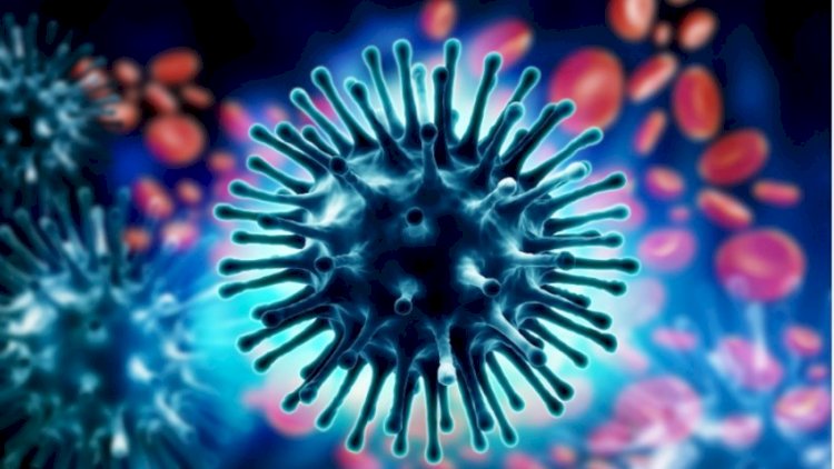    Səhiyyə Nazirliyi: “Azərbaycanda influenza virusu yayılıb“   