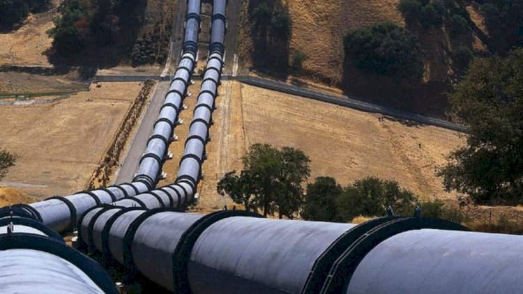    BP Supsa limanından neftin nəqlini bərpa edəcək   