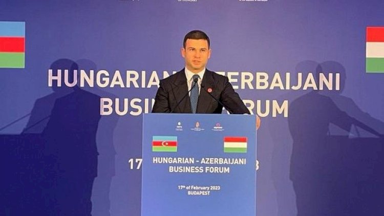   Budapeştdə Macarıstan-Azərbaycan Biznes Forumu keçirildi   