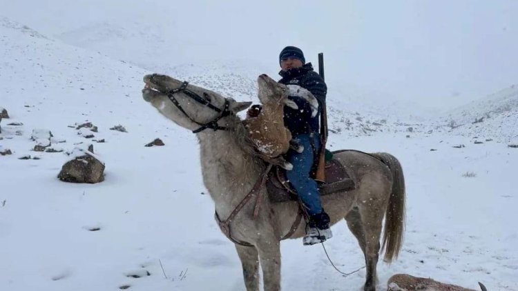    Naxçıvanda dağ keçisi ovlayanlar saxlanıldı - FOTO   