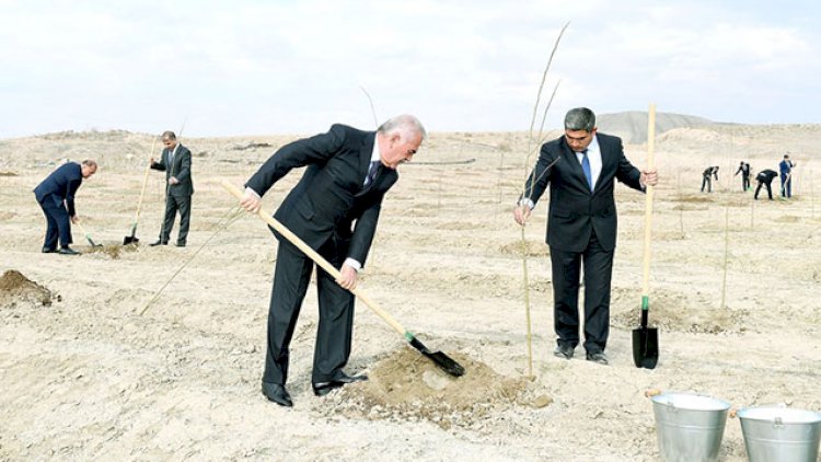    Naxçıvanda Talıbov ənənəsi davam edir: Hamı iməcliyə...   