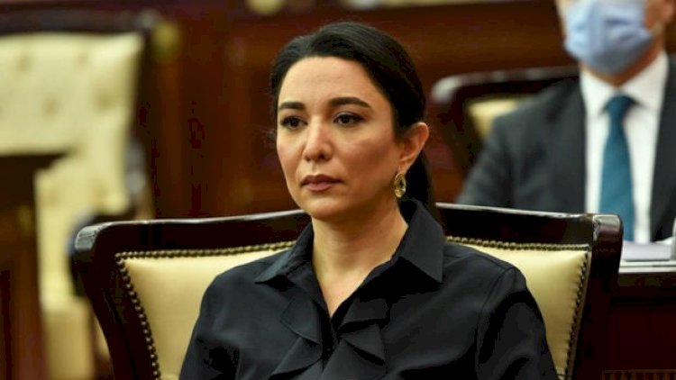    Ombudsman 2022-ci il üzrə məruzəsini Prezidentə təqdim etdi   