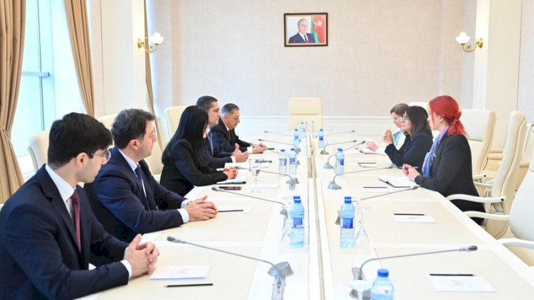    Milli Məclisdə Fransa Senatının üzvü Natali Qule ilə görüş keçirildi   