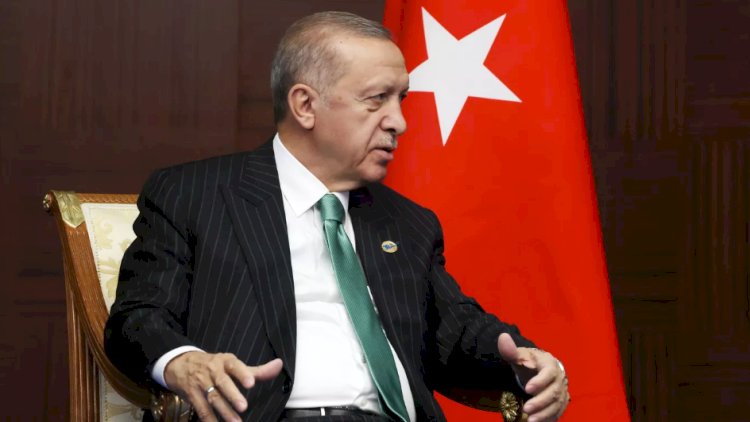   Ərdoğan Putin və Zelenskini görüşdürmək istəyir   