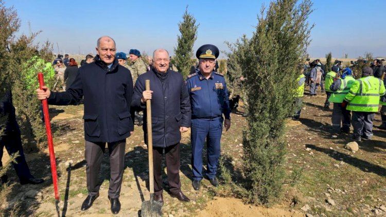    “Heydər Əliyev İli” çərçivəsində Suraxanıda ağacəkmə aksiyası keçirilib   - Fotolar