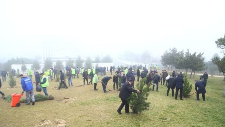    Xətai rayonunda növbəti ağacəkmə aksiyası keçirildi - Fotolar   