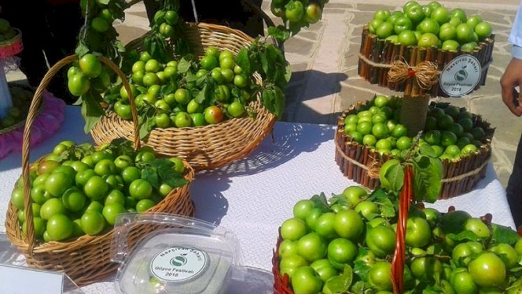    Bakıda 400 manata alça satılır - Video   
