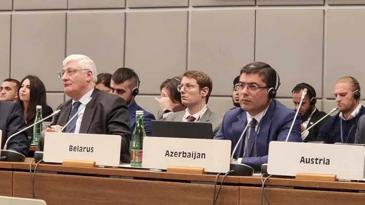    Azərbaycan nümayəndə heyəti Vyanada keçirilən ATƏT-in tədbirində iştirak edir   