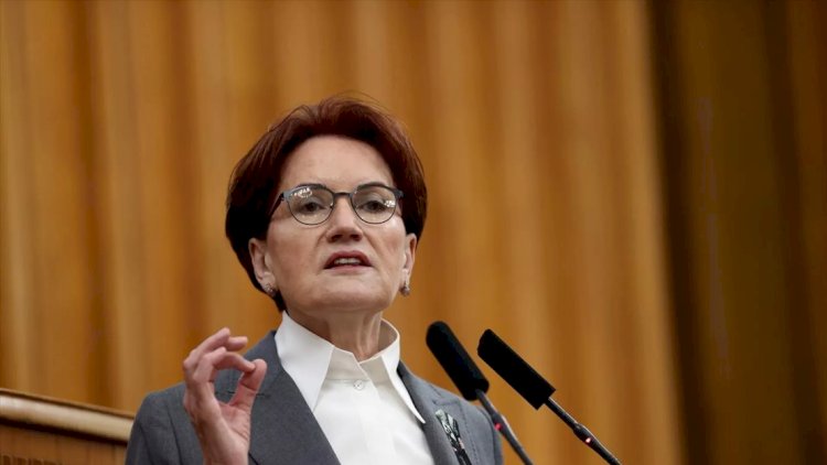    Meral Akşener: “Quzu kimi gedəcəksiniz”   