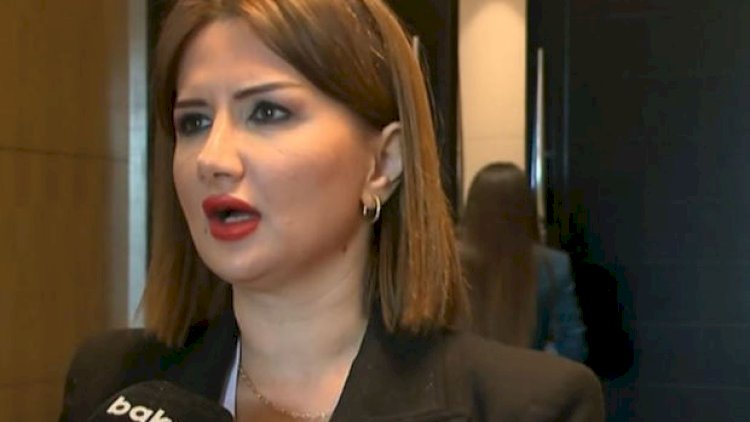    Qərbi azərbaycanlılardan Fransaya çağırış - Video   