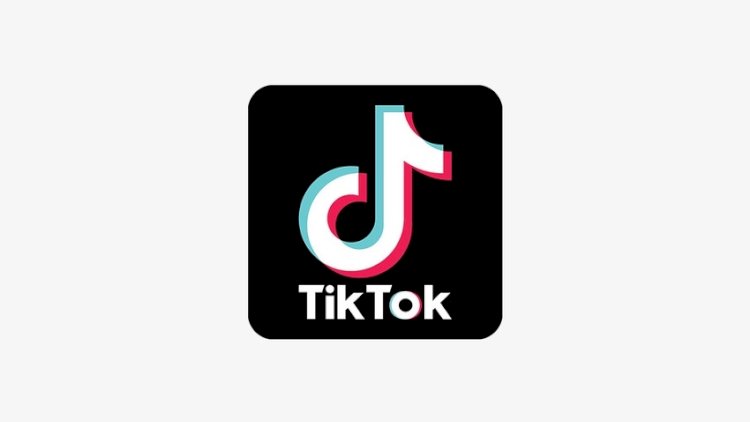    Bu ölkədə deputatlara “TikTok”dan istifadə qadağan edildi    