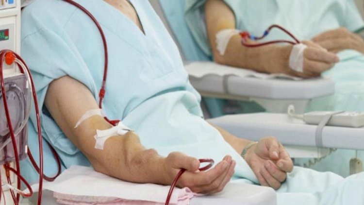    Azərbaycanda donor gözləyən 500-ə yaxın xəstə var   
