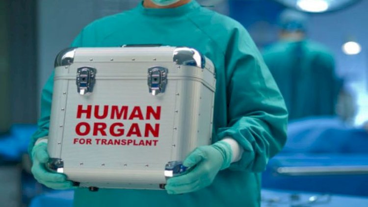    Qeyri-qohumların donorluğu: Etika Komissiyası fəaliyyət göstərəcək   