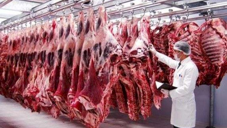    Ətin qiyməti ilə bağlı   YENİ XƏBƏR