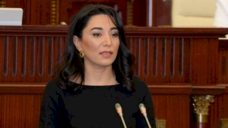    Ombudsman erməni təxribatı barədə müraciət yaydı    