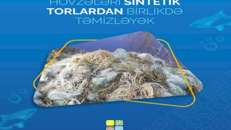    Su anbarı və göldən 70 sintetik tor götürüldü   