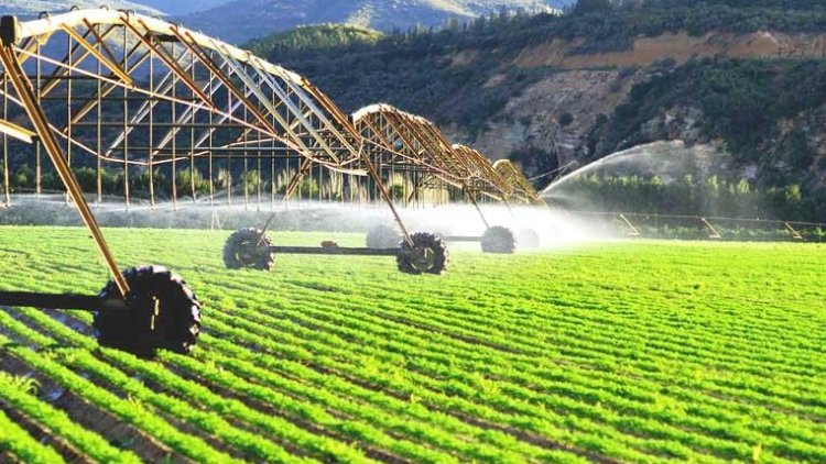    Regionların sosial-iqtisadi inkişafı dövlətin prioritetdir   