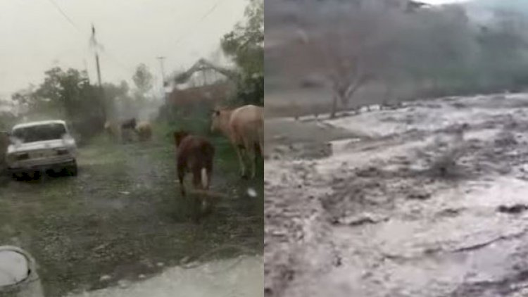    Azərbaycanın bəzi rayonlarında dolu və sel ciddi fəsadlar törədib    
