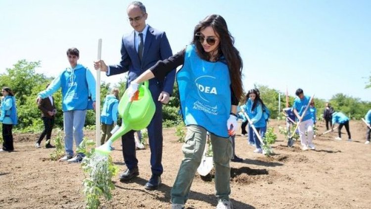    Leyla Əliyeva Ulu Öndərin 100 illiyinə həsr edilən ekoloji aksiyalarda iştirak etdi   
