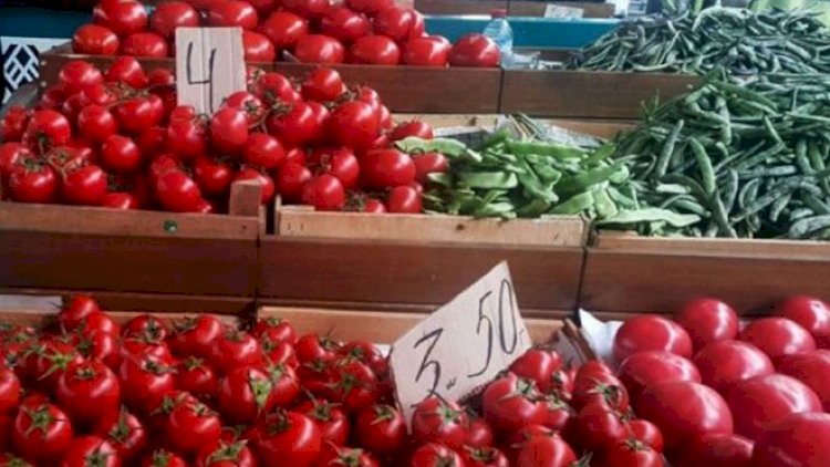    “Pomidorun qiyməti 80 qəpik olmalıdır...” - Bahalaşmanı kim yaradır?   