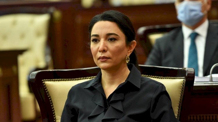    Səbinə Əliyeva İrəvana etirazını bildirdi   