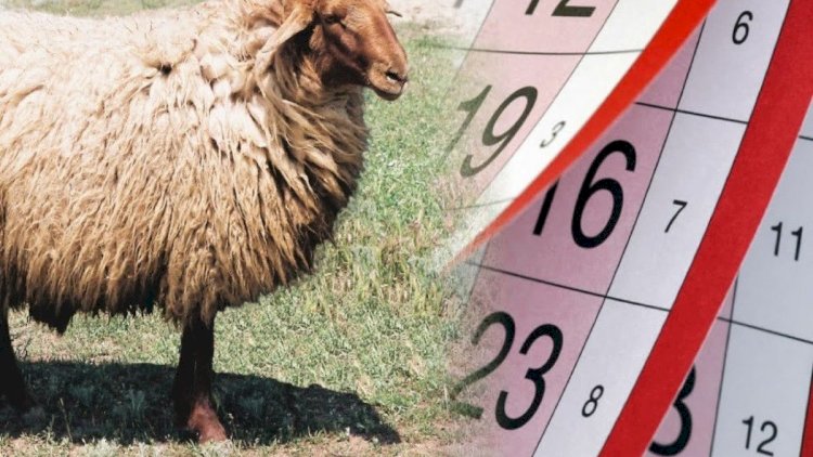    İyunda Qurban bayramıdır - Neçə gün iş olmayacaq?   