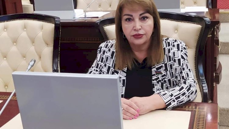    “Dəmir yumruq” yenidən işə düşsə, onların başlarını əzəcək” - Deputat   