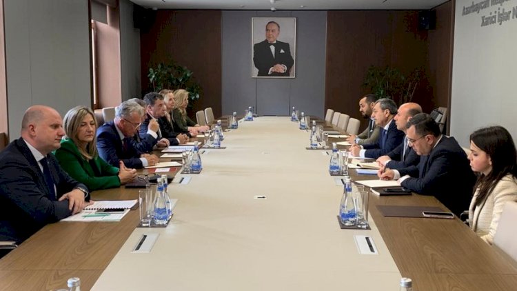    Nazir müavini xorvat deputatlarla görüşdü   