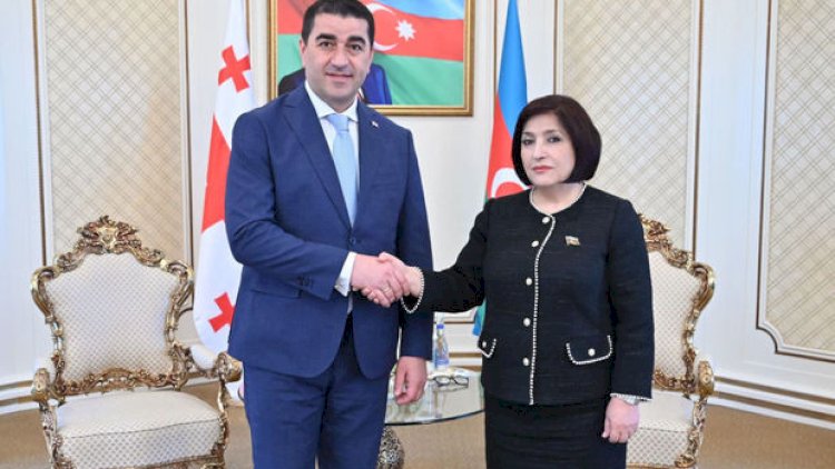    Sahibə Qafarova Gürcüstan parlamentinin sədri ilə görüşdü   