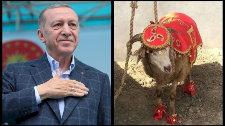    Əməkdar artist Ərdoğan üçün qurban dedi: “İmamzadədə kəsəcəyəm”   